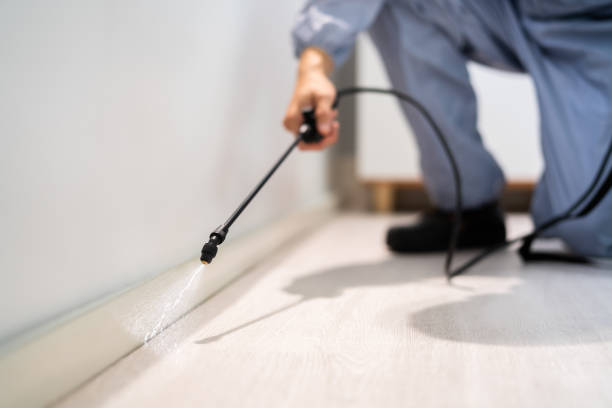 Licensed Pest Control service in Four Oaks, NC - Nex Pest Control