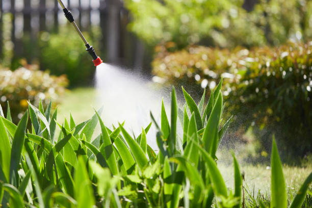 24/7 Emergency Cockroach Control experts in Four Oaks, NC