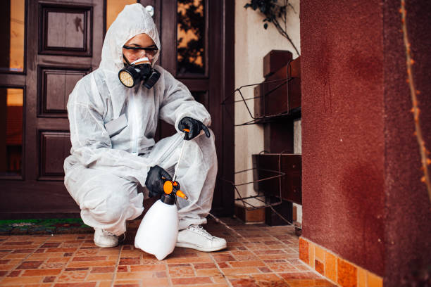Reliable Cockroach Control contractor in Four Oaks, NC by Nex Pest Control