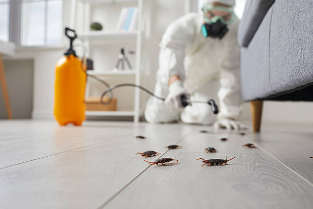 Trusted Rodent Control service in Four Oaks, NC - Nex Pest Control